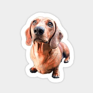 Dachshund Style Up Puppy Dog Sticker